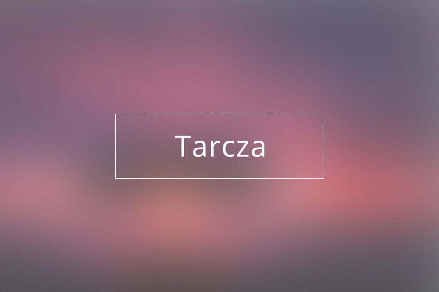 tarcza